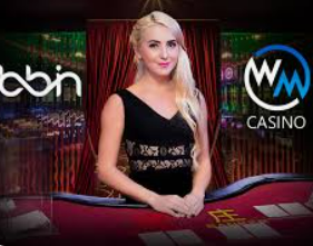 威廉体育手机版